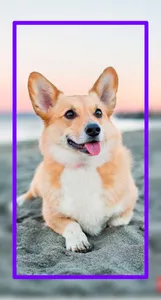 Baby Dogs Wallpaper HD screenshot 1