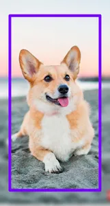 Baby Dogs Wallpaper HD screenshot 17