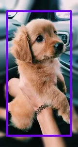 Baby Dogs Wallpaper HD screenshot 20