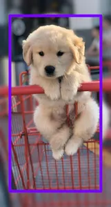 Baby Dogs Wallpaper HD screenshot 5