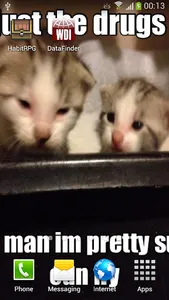 Lolcat Wallpapers screenshot 1