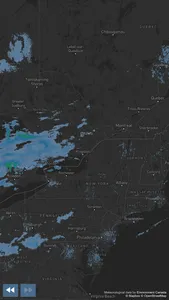 True Weather screenshot 0