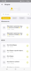 ANANAS screenshot 2