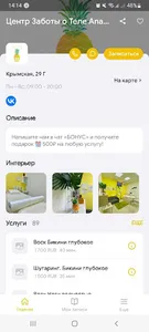 ANANAS screenshot 3