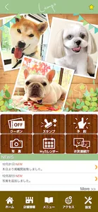 Lampo screenshot 1