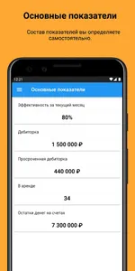 Бизнес-контроль screenshot 0