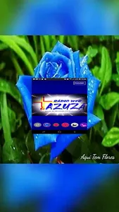 Rádio Web Azuza screenshot 0