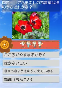 花言葉クイズ & 花図鑑（写真付き）　いろんな花の花言葉に関 screenshot 2