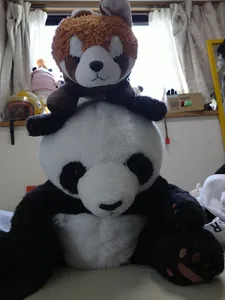 パンダクイズ screenshot 6