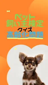 ワンちゃんニャンちゃん飼い主検定　ペットの長寿問題 screenshot 0