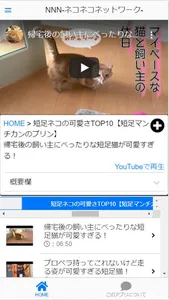 NNN-ネコネコネットワーク- screenshot 2