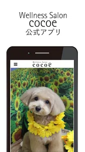 cocoe screenshot 1