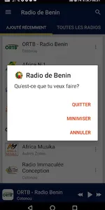 Benin Radio Stations screenshot 7