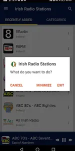 Irish Online Radio Stations screenshot 7