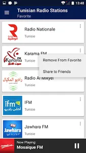 Tunisian Radio Stations screenshot 5