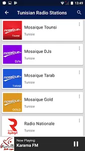 Tunisian Radio Stations screenshot 6