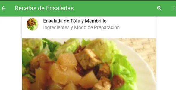 Recetas De Ensaladas screenshot 5