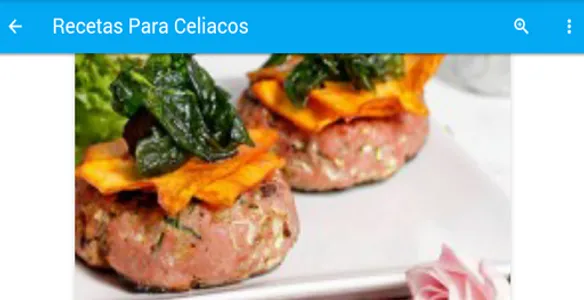 Recetas Para Celiacos screenshot 6