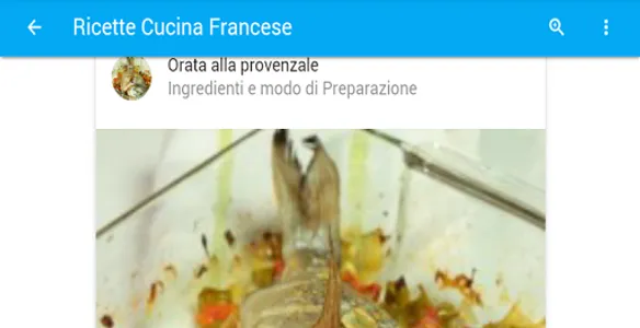 Ricette Cucina Francese screenshot 7