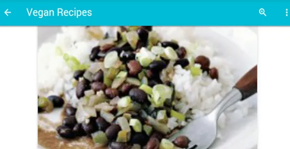 Vegan Recipes screenshot 7