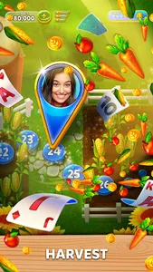 Solitaire Grand Harvest screenshot 17