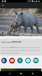 بوتسوانا دليل السفر screenshot 5