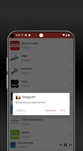 Belgium Internet Radio screenshot 5