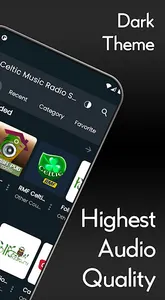 Celtic Music Internet Radio screenshot 1