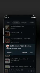 Celtic Music Internet Radio screenshot 5
