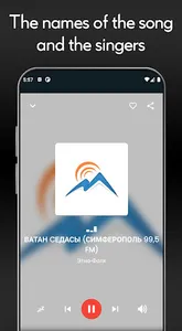 Ethno Folk Music Net Radio screenshot 2