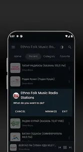 Ethno Folk Music Net Radio screenshot 5