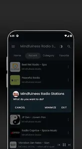 Mindfulness Internet Radio screenshot 5