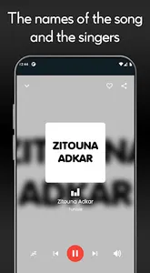 Tunisia Internet Radio screenshot 2