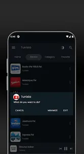 Tunisia Internet Radio screenshot 5