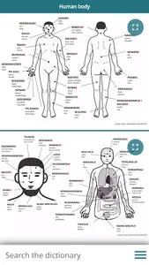 Naua taha Netwar screenshot 1