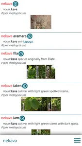 Naua taha Netwar screenshot 2