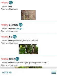 Naua taha Netwar screenshot 8