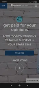 MoneyFi for Survey Junkie™ Web screenshot 2