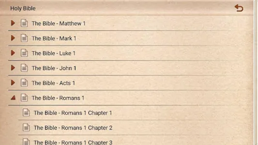 New Testament of Holy Bible screenshot 6