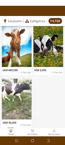 Amagara - Buy livestock online screenshot 7