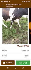 Amagara - Buy livestock online screenshot 8