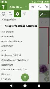 Rotoflowers screenshot 2