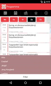Dorpsfeest Hoogland screenshot 1