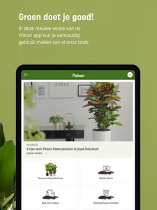 Pokon screenshot 4