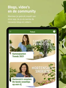 Pokon screenshot 7