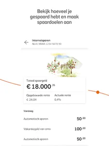 Nationale-Nederlanden screenshot 7
