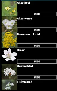Wilde bloemen screenshot 2