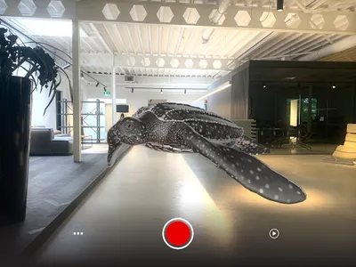 Historyland - Zeedieren screenshot 8