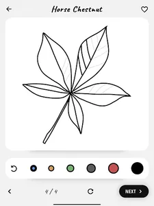 How to draw flowers and plants screenshot 13