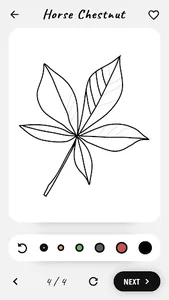 How to draw flowers and plants screenshot 5